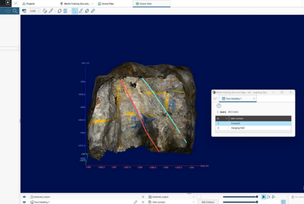 a screenshot of polylines with attributes in Leapfrog Geo